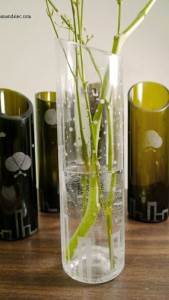 VASE VASE