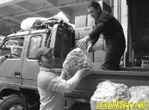 Vegitable Market Whole Sale Market