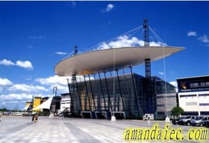 中國批發市場的產品